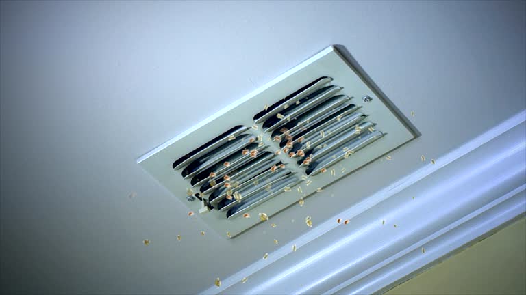 Best HVAC Air Duct Cleaning  in Santa Ana, CA