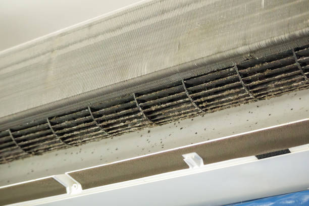 Best Dryer Vent Cleaning Services  in Santa Ana, CA